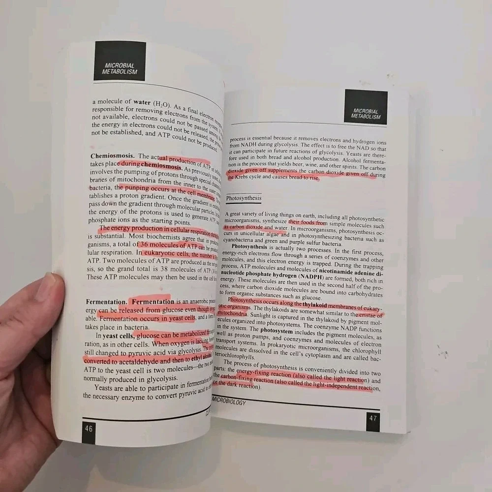 Microbiology cliff‎ notes *heavily marked*